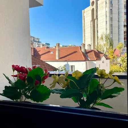 Cosmopolit Deco Dream * 布拉索夫