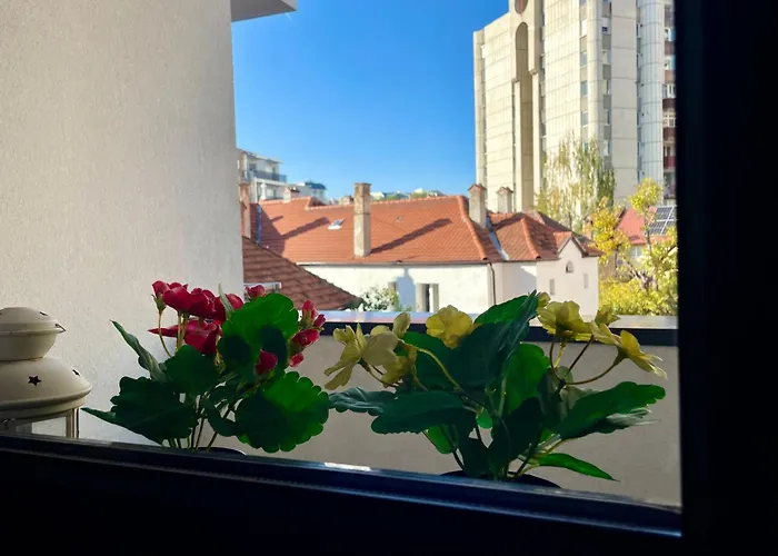 Cosmopolit Deco Dream * 布拉索夫