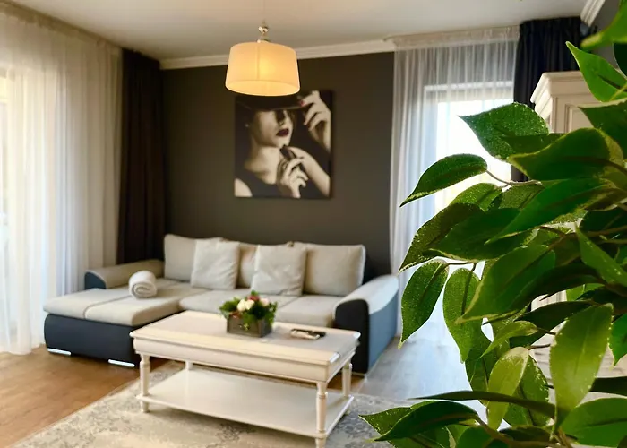 Cosmopolit Deco Dream * 布拉索夫