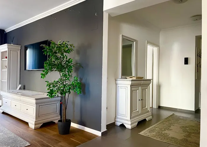 Cosmopolit Deco Dream * 布拉索夫